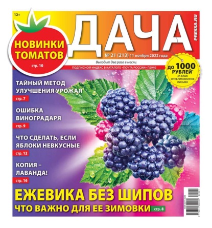 Дача Pressa.ru 21-2022 - Редакция газеты Дача Pressa.ru