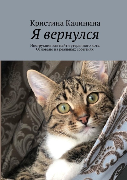 Я вернулся. Инструкция как найти утерянного кота. Основано на реальных событиях — Кристина Калинина