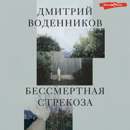 Бессмертная стрекоза - Дмитрий Воденников