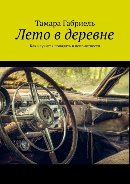 Лето в деревне. Как научится попадать в неприятности — Тамара Габриель