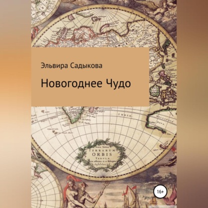 Новогоднее чудо - Эльвира Альфредовна Садыкова