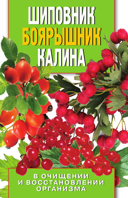 Шиповник, боярышник, калина в очищении и восстановлении организма — Алла Нестерова