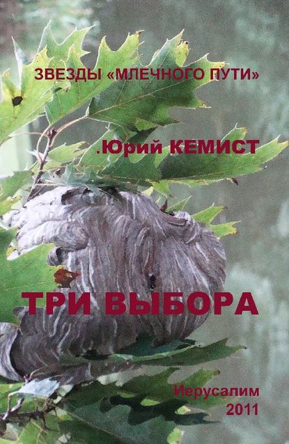 Три выбора - Юрий Кемист