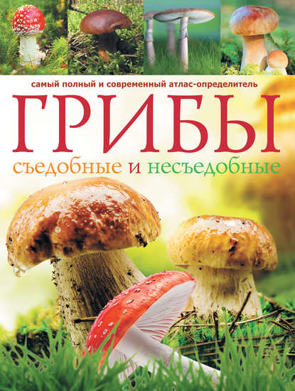 Грибы. Съедобные и несъедобные: Самый полный и современный атлас-определитель - А. Б. Поленов