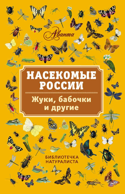 Насекомые России. Жуки, бабочки и другие — Владимир Горбатовский