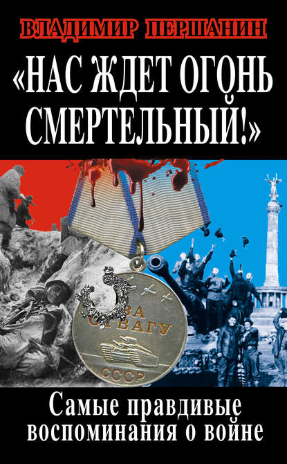 Нас ждет огонь смертельный! Самые правдивые воспоминания о войне — Владимир Першанин