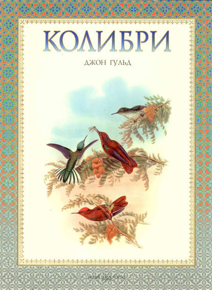 Колибри — Евгений Коблик