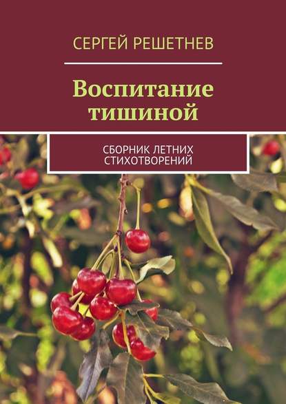 Воспитание тишиной — Сергей Решетнёв