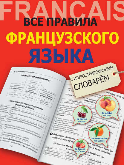 Все правила французского языка с иллюстрированным словарём — Георгий Костромин