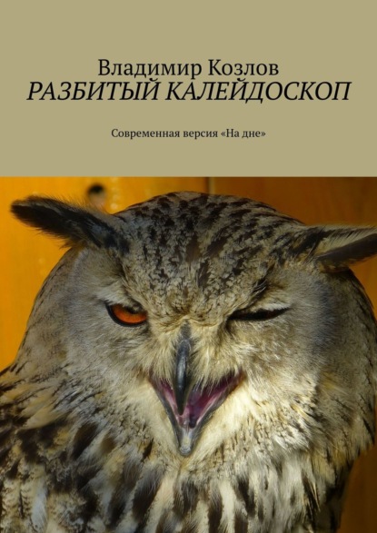 Разбитый калейдоскоп. Современная версия «На дне» — Владимир Козлов