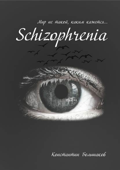 Schizophrenia. Мир не такой, каким кажется - Константин Большаков