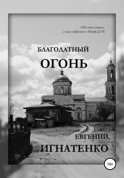 Благодатный огонь - Евгений Игнатенко