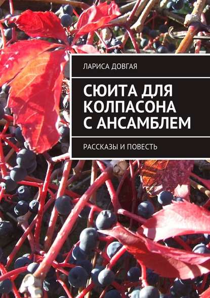 Сюита для колпасона с ансамблем. Рассказы и повесть — Лариса Павловна Довгая