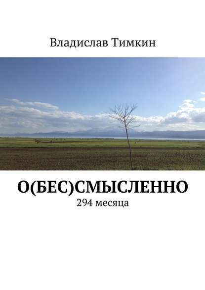 О(бес)смысленно. 294 месяца - Владислав Тимкин