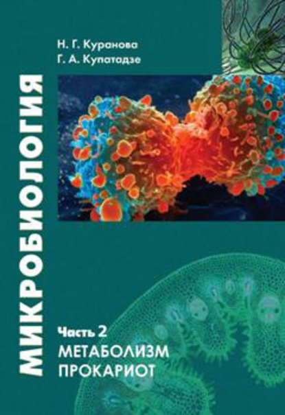 Микробиология. Часть 2. Метаболизм прокариот - Наталия Куранова