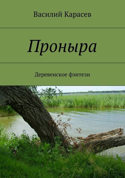 Проныра. Деревенское фэнтези — Василий Карасев