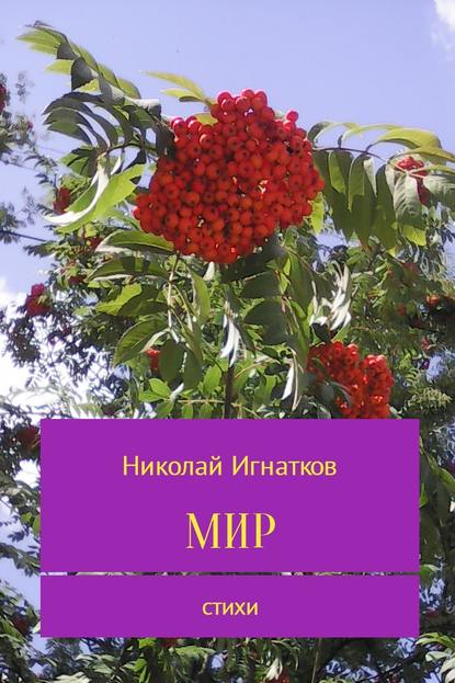 Мир - Николай Викторович Игнатков