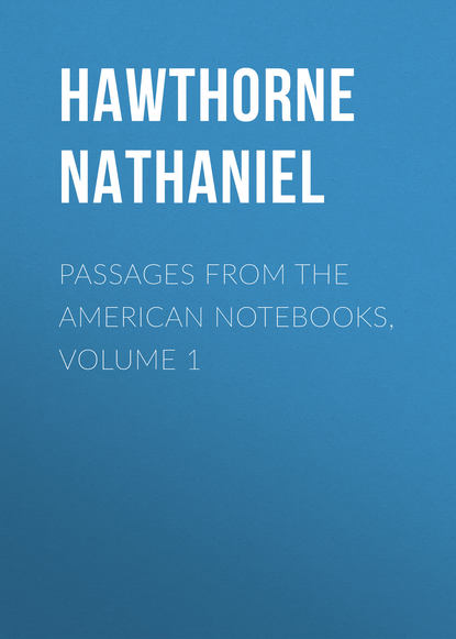 Passages from the American Notebooks, Volume 1 - Натаниель Готорн