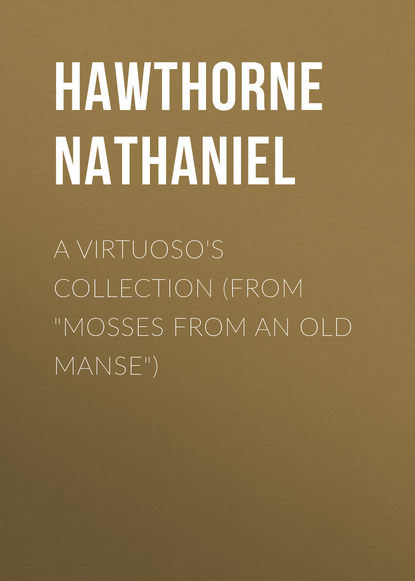 A Virtuoso's Collection (From Mosses from an Old Manse) - Натаниель Готорн