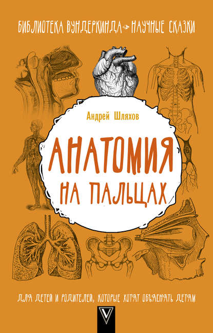 Анатомия на пальцах. Для детей и родителей, которые хотят объяснять детям — Андрей Шляхов