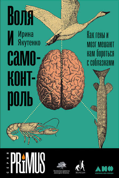 Воля и самоконтроль: Как гены и мозг мешают нам бороться с соблазнами — Ирина Якутенко