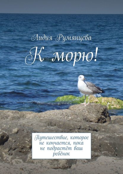 К морю! Путешествие, которое не кончается, пока не подрастёт ваш ребёнок - Лидия Румянцева