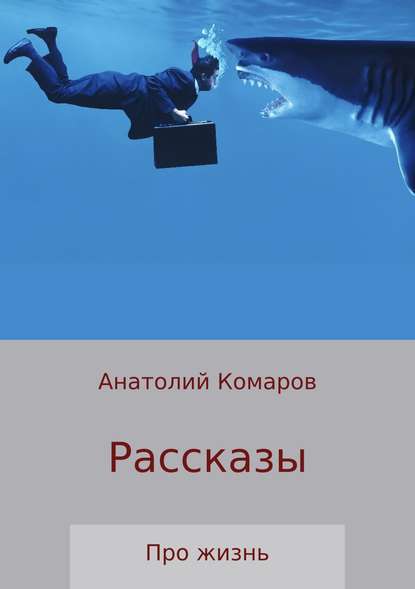 Рассказы про жизнь — Анатолий Николаевич Комаров