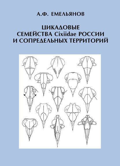 Цикадовые семейства Cixiidae России и сопредельных территорий - А. Ф. Емельянов