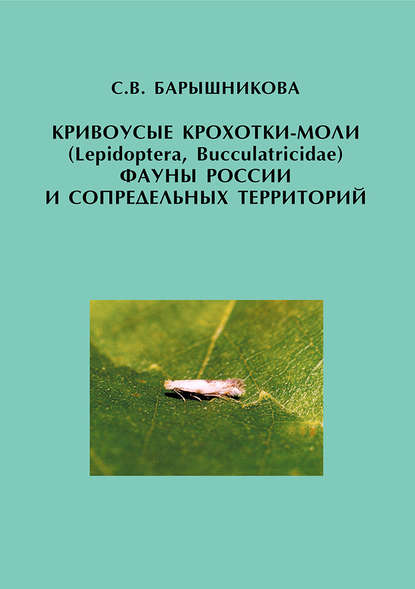 Кривоусые крохотки-моли (Lepidoptera, Bucculatricidae) фауны России и сопредельных территорий — С. В. Барышникова