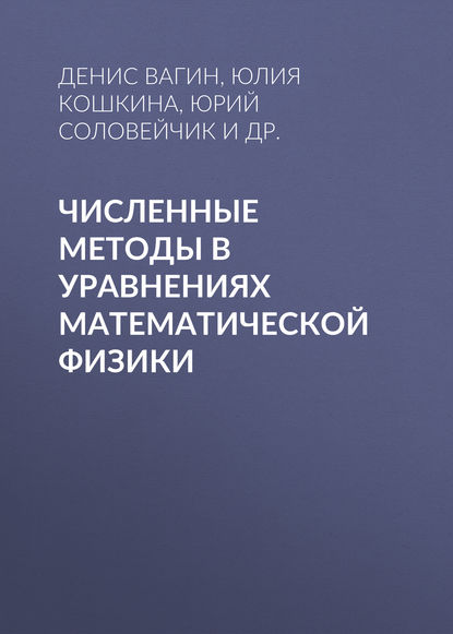 Численные методы в уравнениях математической физики — Юрий Соловейчик