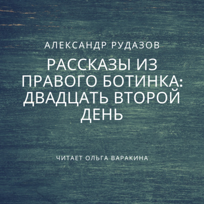 Двадцать второй день - Александр Рудазов