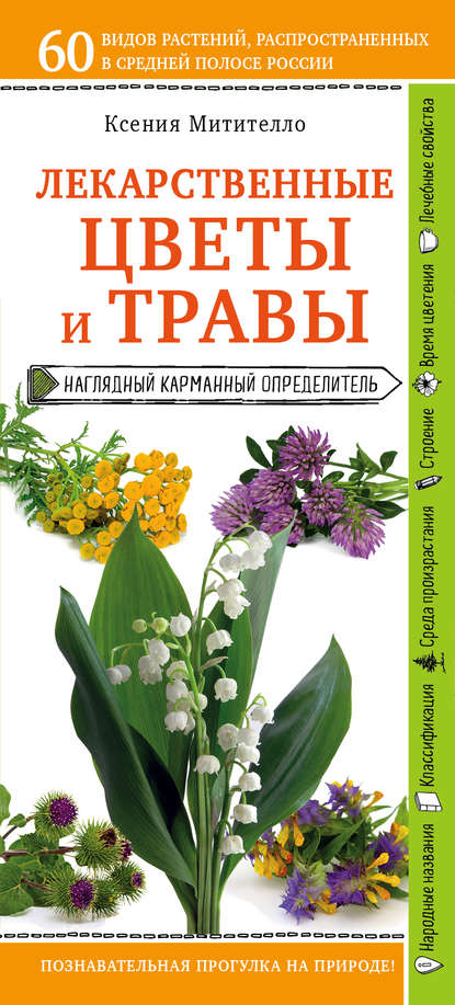 Лекарственные растения и травы. Определитель трав русских лесов и полей - Ксения Митителло