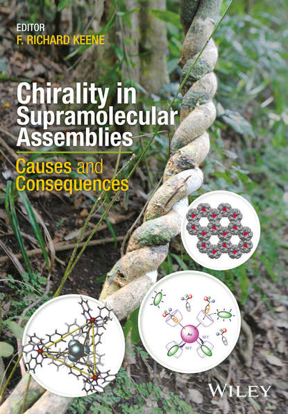 Chirality in Supramolecular Assemblies — Группа авторов