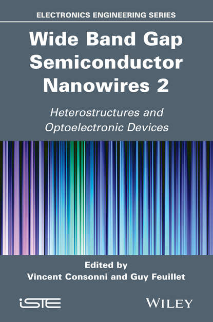 Wide Band Gap Semiconductor Nanowires 2 - Группа авторов