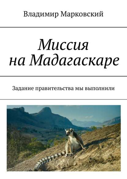 Миссия на Мадагаскаре. Задание правительства мы выполнили - Владимир Марковский