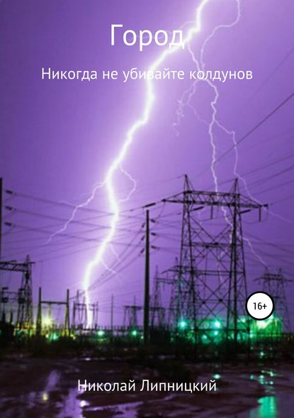 Город. Никогда не убивайте колдунов — Николай Иванович Липницкий