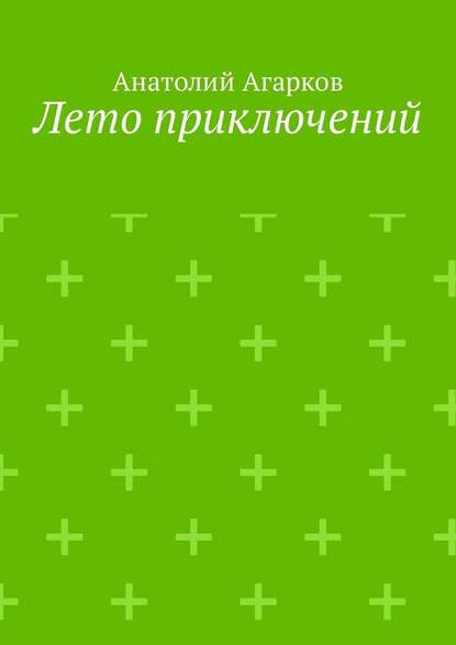 Лето приключений. Настоящий друг не позволит тебе совершать глупости в одиночку — Анатолий Агарков