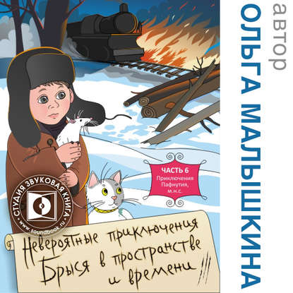 Книга 6. Брысь, или Приключения одного м.н.с — Ольга Малышкина