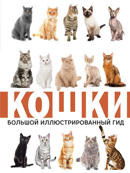 Кошки — Н. Н. Непомнящий