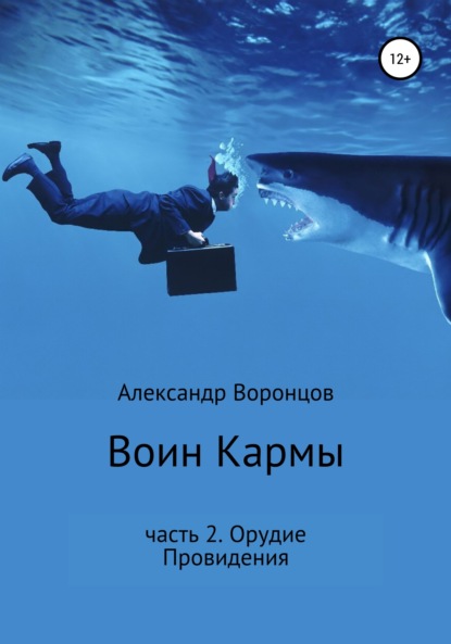 Воин Кармы. Часть 2. Орудие Провидения - Александр Воронцов