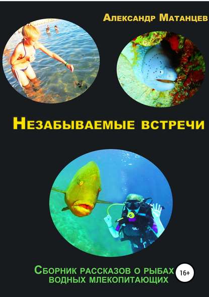 Незабываемые встречи. Сборник рассказов о рыбах и водных млекопитающих — Александр Матанцев