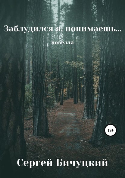 Заблудился я, понимаешь… — Сергей Марксович Бичуцкий