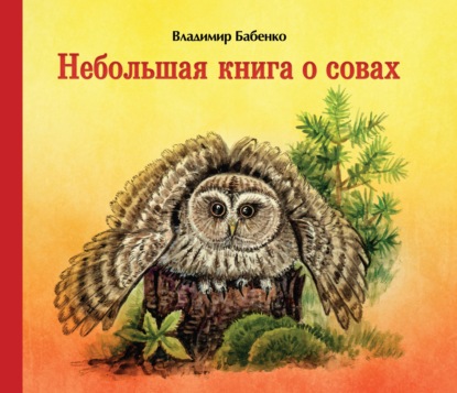 Небольшая книга о совах - В. Г. Бабенко