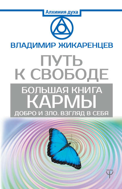 Большая книга Кармы. Путь к свободе. Добро и Зло. Взгляд в себя - Владимир Жикаренцев