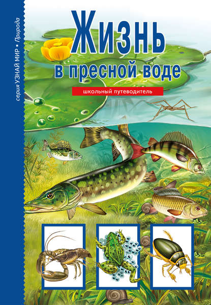 Жизнь в пресной воде — Сергей Афонькин