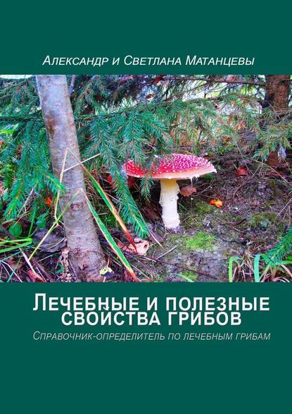 Лечебные и полезные свойства грибов. Справочник-определитель по лечебным грибам — Александр Матанцев