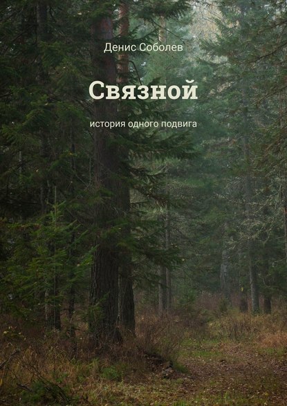 Связной. История одного подвига - Денис Валерьевич Соболев