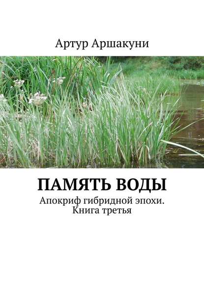 Память воды. Апокриф гибридной эпохи. Книга третья - Артур Аршакуни