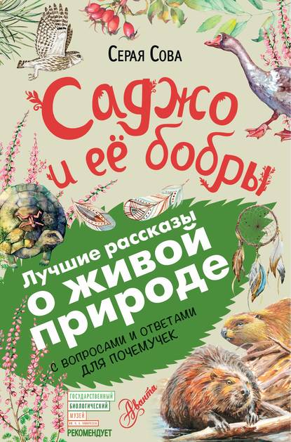 Саджо и ее бобры. С вопросами и ответами для почемучек — Серая Сова