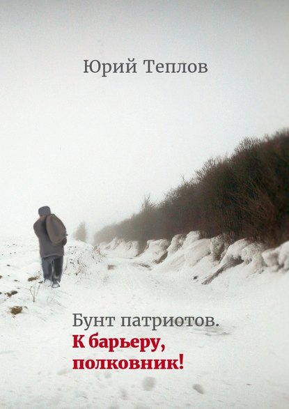 Бунт патриотов. К барьеру, полковник! - Юрий Теплов